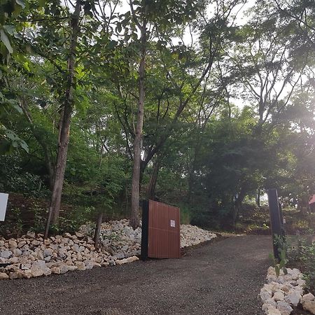 Baliyana Lodge San José Pinilla Dış mekan fotoğraf