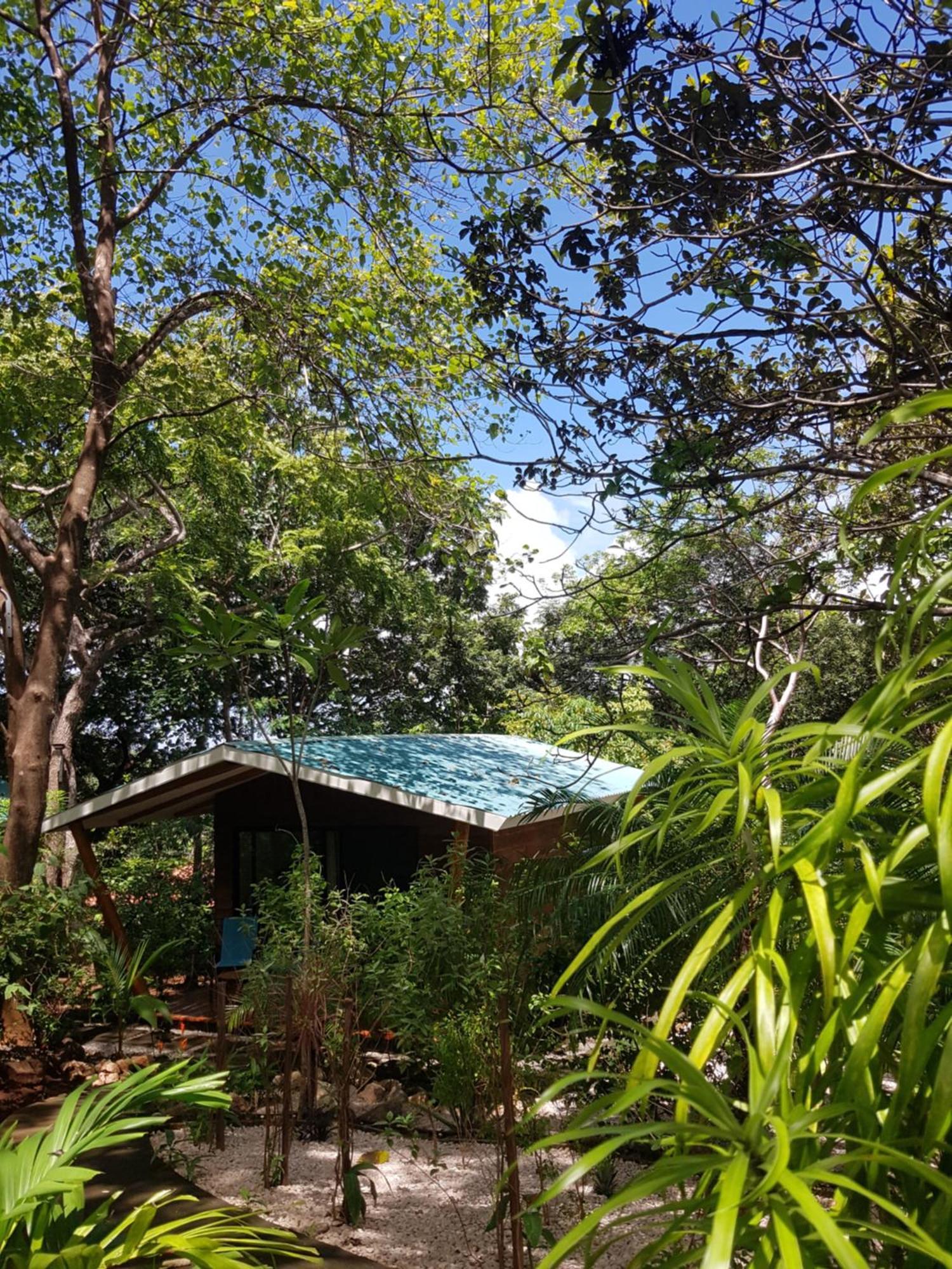Baliyana Lodge San José Pinilla Dış mekan fotoğraf